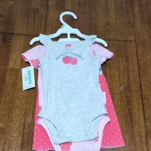 Carter's Pink and Gray Baby Bodysuit Set